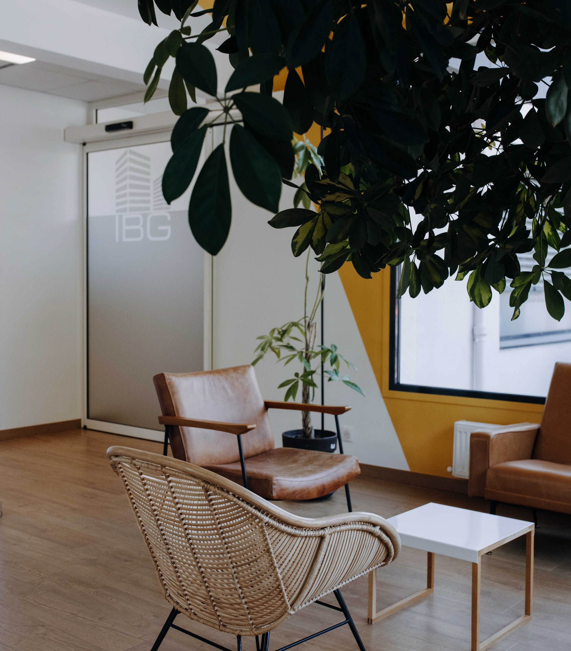 Le salon d'accueil d'IBG, avec des fauteuils et des plantes