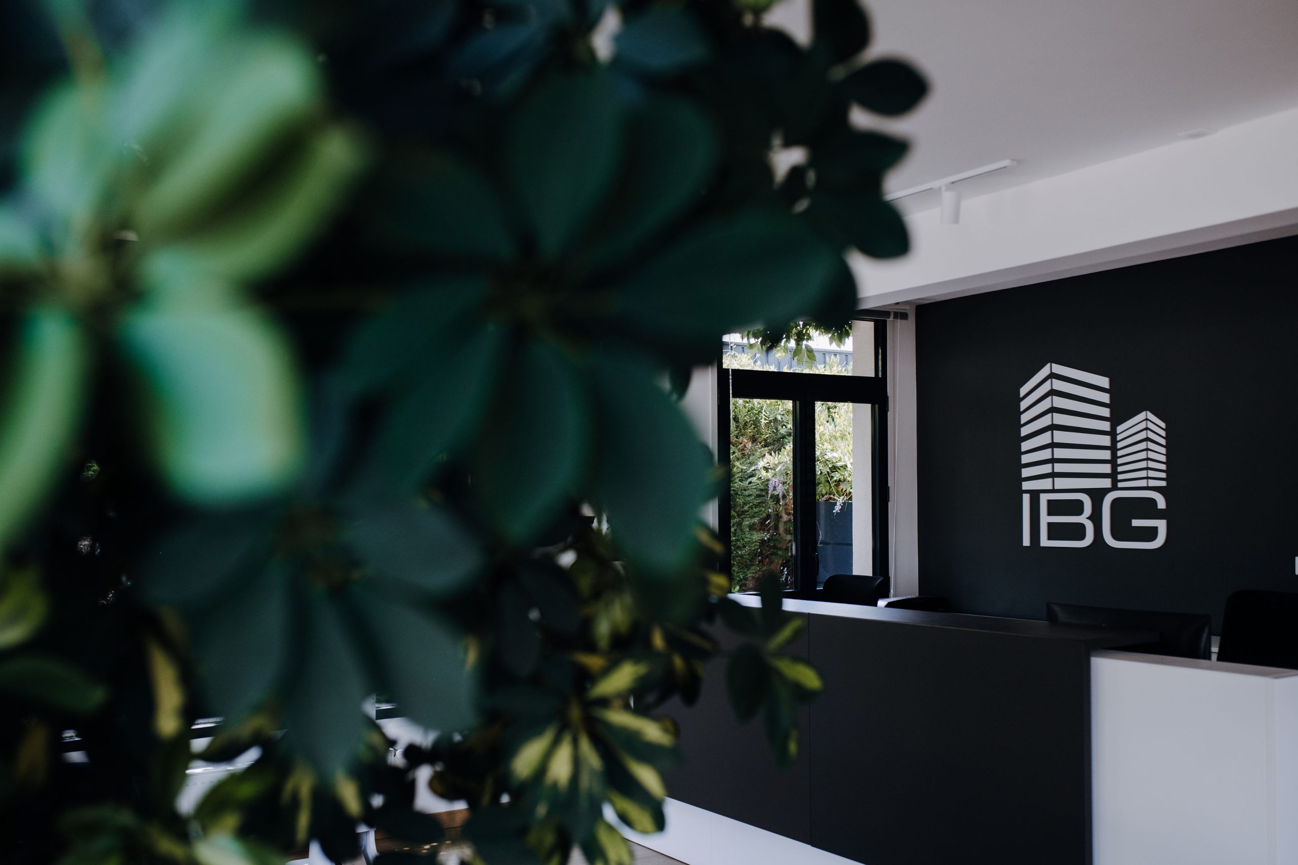 L'accueil d'IBG et son logo mural, derrière une plante