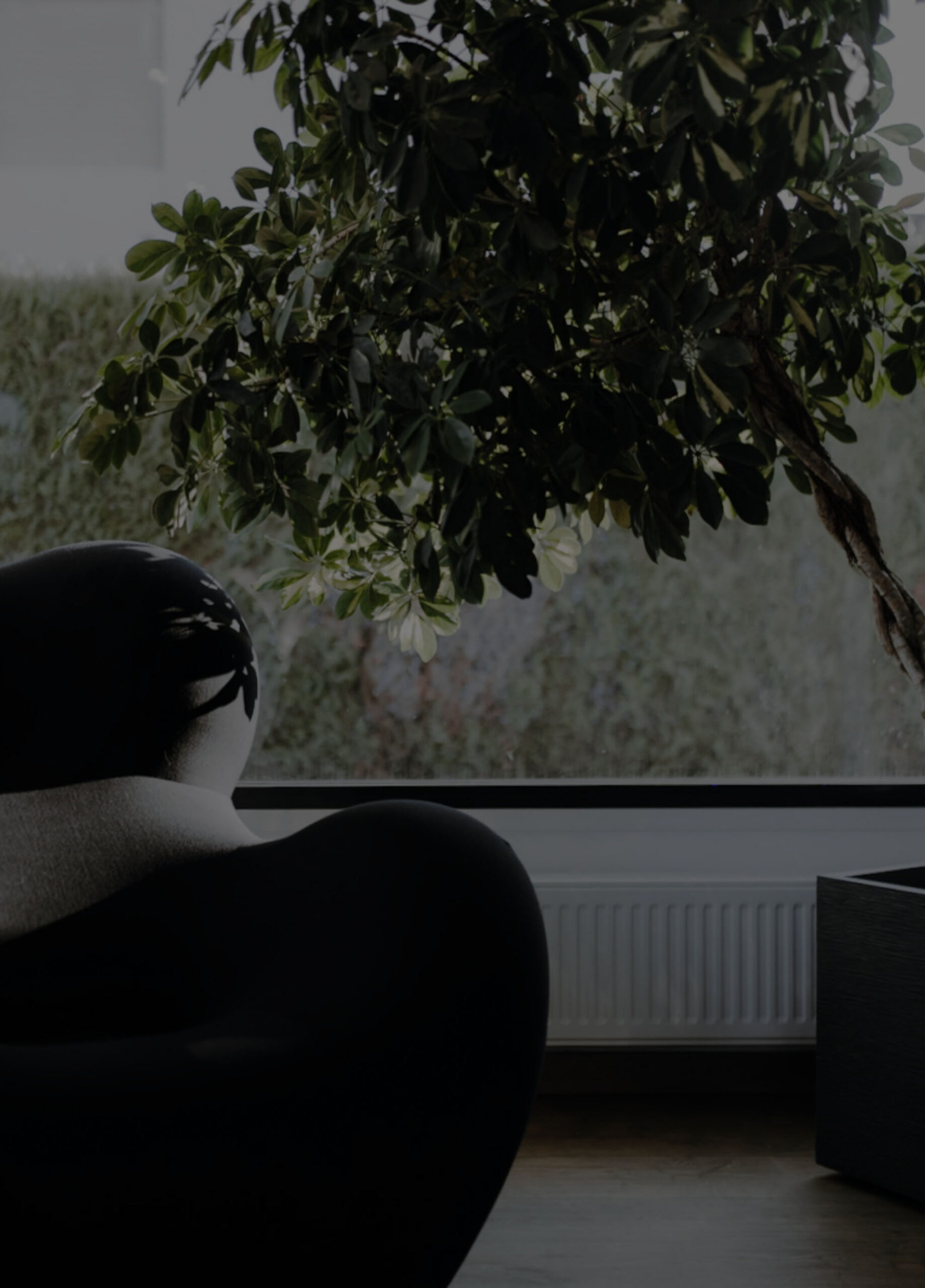 Un fauteuil et une plante près de la fenêtre des bureaux IBG